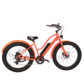 China 26" Fat Tire Electric Bike/ 48V500W Electric Bicycle